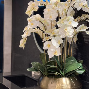 blanco phalaenopsis orquídeas en dorado metal Bowie cuenco