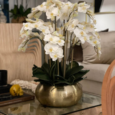 blanco phalaenopsis orquídeas en dorado metal Bowie cuenco