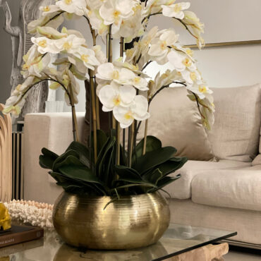 blanco phalaenopsis orquídeas en dorado metal Bowie cuenco