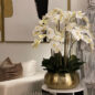 blanco phalaenopsis orquídeas en dorado metal Bowie cuenco