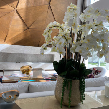 delaney dorado maceta con múltiples Stems de phalaenopsis orquídeas y Succulents