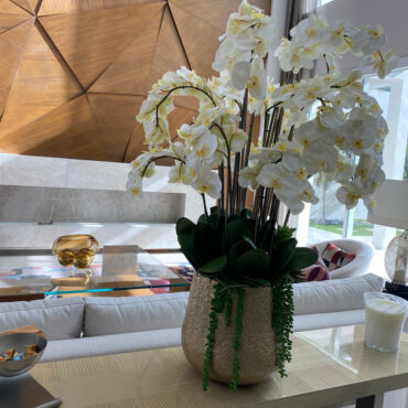 delaney dorado maceta con múltiples Stems de phalaenopsis orquídeas y Succulents