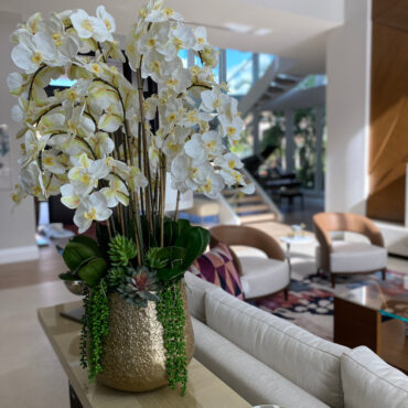 delaney dorado maceta con múltiples Stems de phalaenopsis orquídeas y Succulents