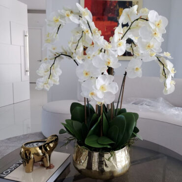 phalaenopsis orquídeas floral arreglo en dorado jardinera