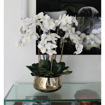 phalaenopsis orquídeas floral arreglo en dorado jardinera