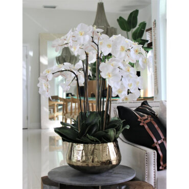 phalaenopsis orquídeas floral arreglo en dorado jardinera