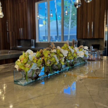 Casa Moderna con blanco vandas y verde cymbidiums