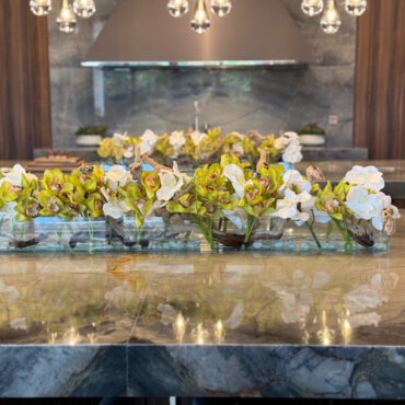 Casa Moderna con blanco vandas y verde cymbidiums