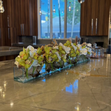 Casa Moderna con blanco vandas y verde cymbidiums