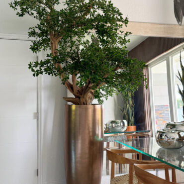 Artificial negro olivo bonsái árbol en dorado Revolver jardinera