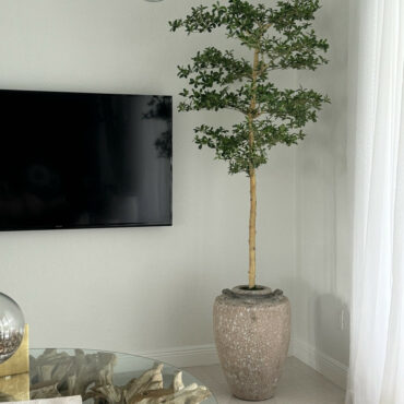 Parthenon jardinera con 7′ Shady dama árbol