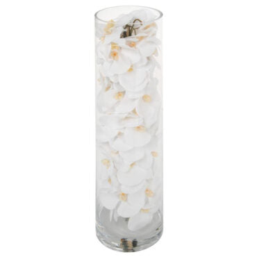 vidrio cilindro con blanco phalaenopsis orquídeas